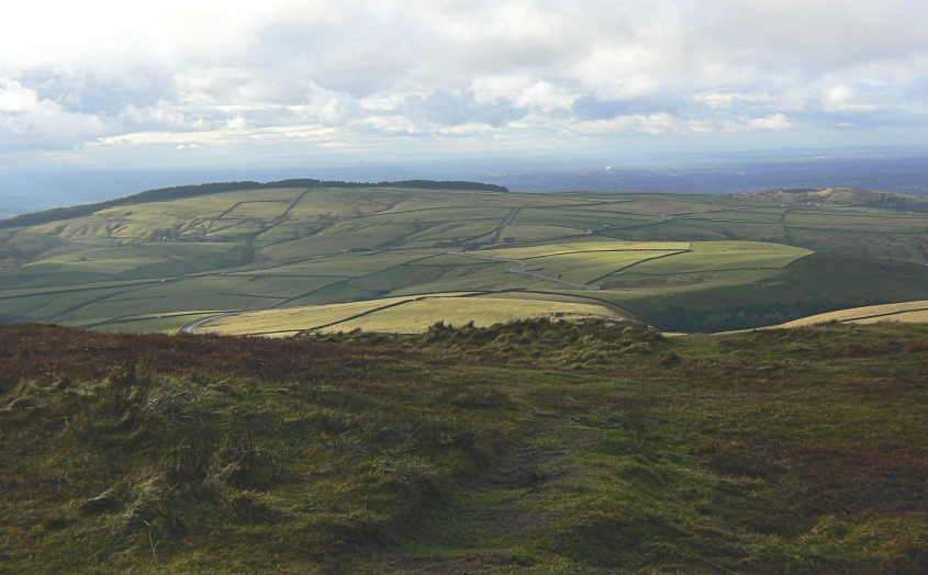 Maccelsfield Forest
